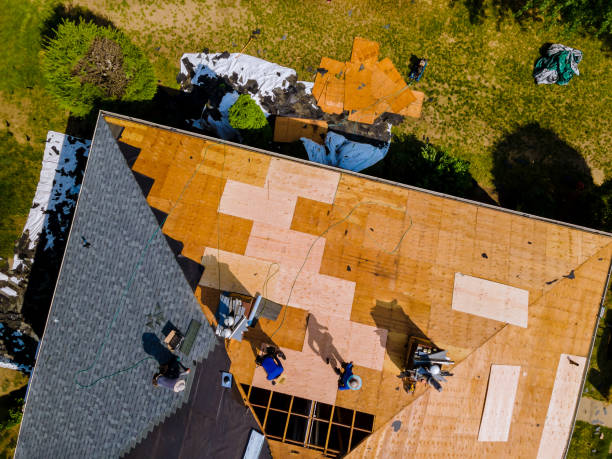 Best Roof Waterproofing Services  in Rapid City, MI