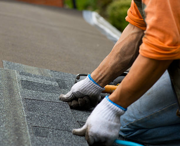 Best Residential Roofing Contractor  in Rapid City, MI
