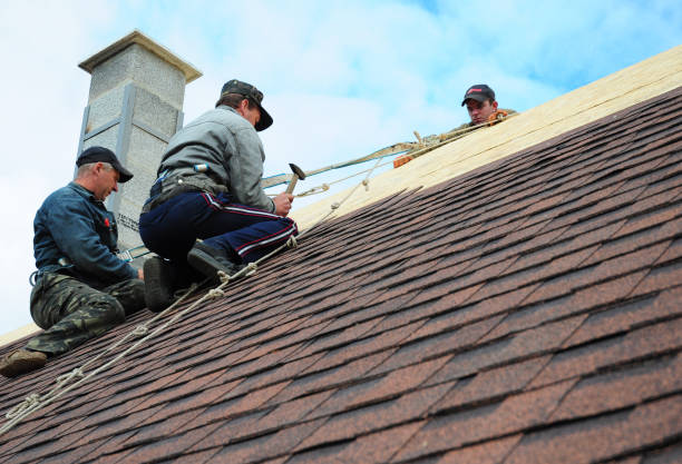 Best Roof Waterproofing Services  in Rapid City, MI
