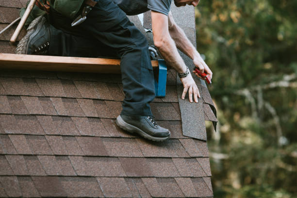 Best Local Roofing Companies  in Rapid City, MI