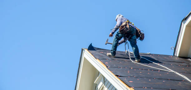 Best Roof Leak Repair  in Rapid City, MI